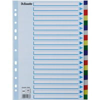 Przekadki plastikowe z PP A4 20 kart 15263 ESSELTE