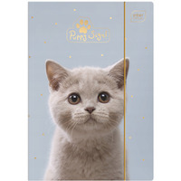 Teczka z gumk� A4+ LUX UV PUPPY SIGN 5406 INTERDRUK