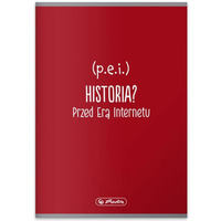 Zeszyt szkolny przedmiotowy A5 60 kartek w kratk 70g HISTORIA 9577362 HERLITZ