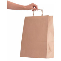 Torba ekologiczna ECOBAG 305x170x425mm br�zowa