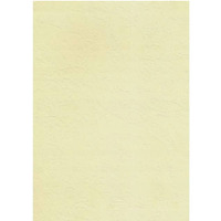 Karton wizyt�wkowy A4 KRESKA 246g (20 arkuszy) W45 tapeta ecrue