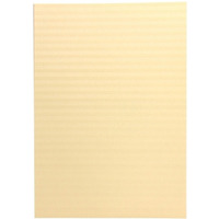 Karton wizyt�wkowy A4 BALI kremowy 220g (20ark.) 200102 Galeria Papieru