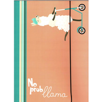 Teczka z gumk� LAMA brzoskiwniowa kolekcja NO PROBlama 302/96 VAUPE